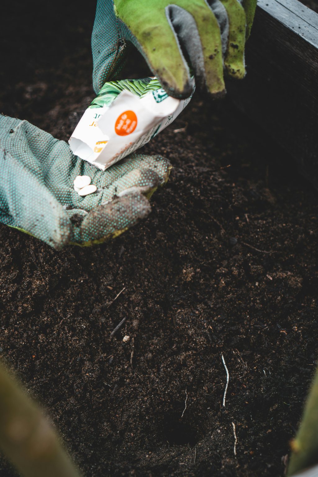 jonathan kemper tetejozuc00 unsplash
